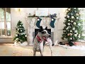 2020 OK Humane Yule Log