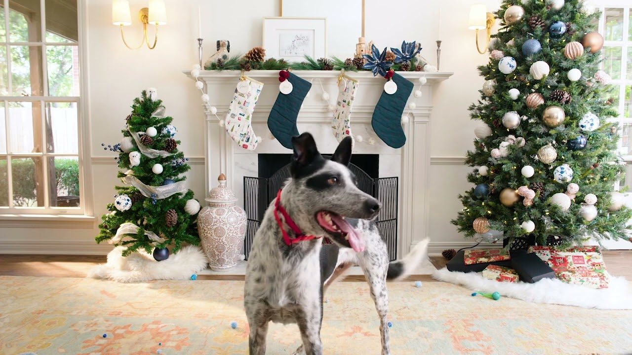 2020 OK Humane Yule Log