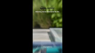 NEW Dolphin Skimmi
