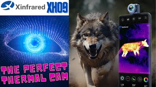 XINFRARED XH09 - THE PROFESSIONAL THERMAL CAMERA IN THE PALM OF YOUR HAND - FULL TEST - 4K