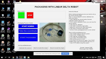 Visual Positioning Linear Delta Robot Demo