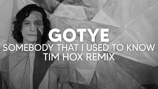 Gotye - Somebody That I Used To Know (Tim Hox Remix) [TECH HOUSE] Resimi