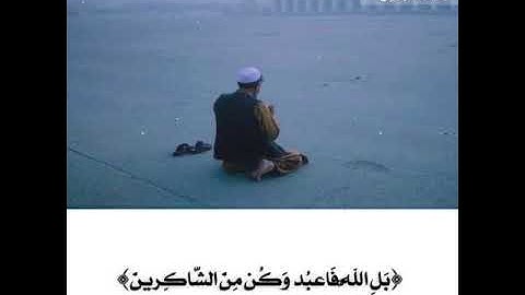 قل أفغير الله تأمروني أعبد أيها الجاهلون تلاوه مؤثرة - خالد الجليل
