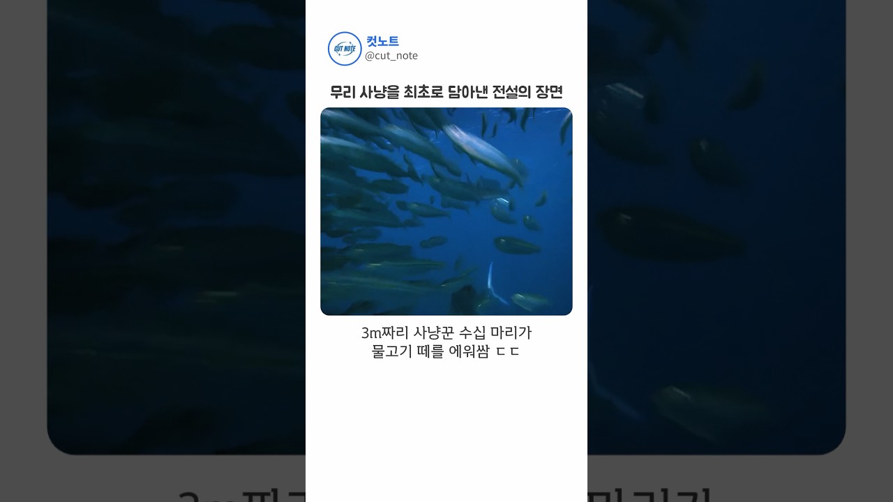 팀킬 방지 시스템 탑재한 바다의 사냥꾼 ㄷㄷ