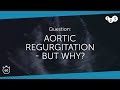 60 Seconds of Echo Teaching Question: Aortic regurgitation - but why?