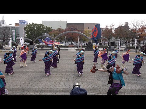 よさこい鳴子連 今日一屋 @四日市よさこい祭り(市民公園会場) 2017-11-26T14:10