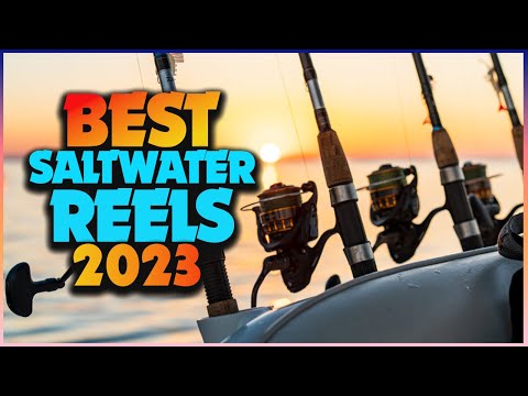 Best Saltwater Spinning Reels For The Money | PRO Buying Guide