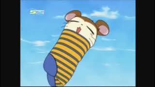 Hamtaro Hai Episode 30 - Petualangan Lindur - Bahasa Indonesia