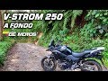 Suzuki V-strom 250 - Examen a Fondo