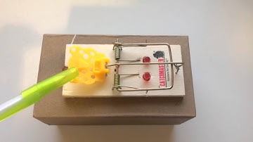 Physical Computing Project #1