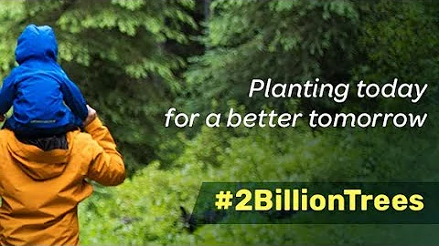 Two Billion Trees Planting At Canada