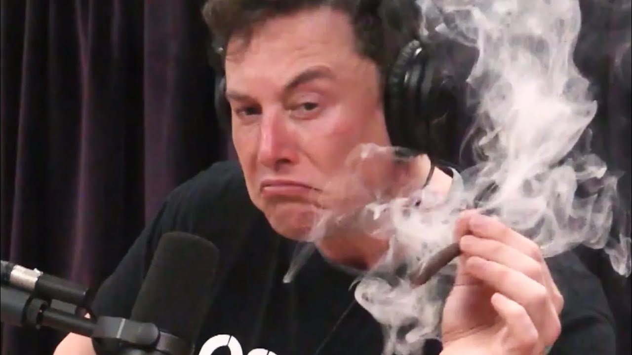 Ass creed 2 finale platinum trophy