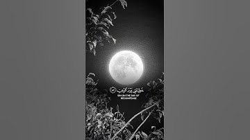 القارئ ماهر المعيقلي /سورة الشعراء آية(80) وإذا مرضت فهو يشفين (81) والذي يميتني ثم يحين