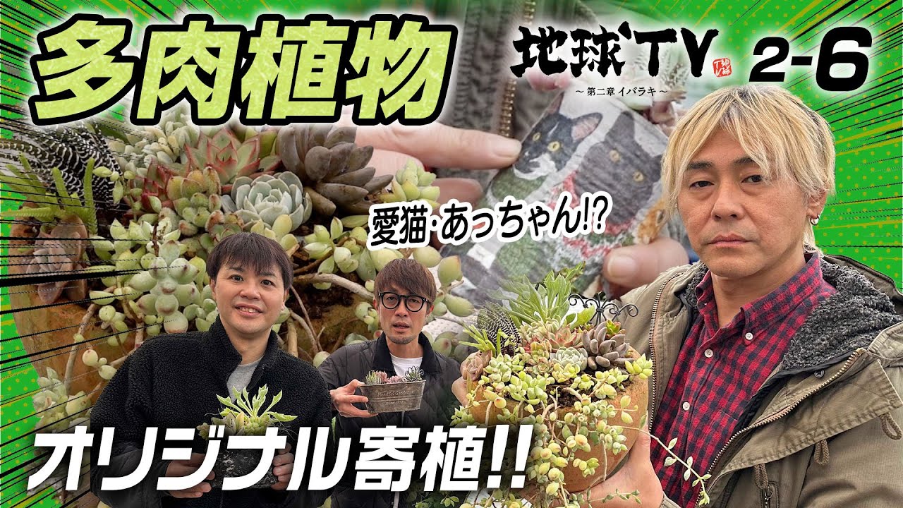 hiro様 多肉植物園　TB-IB6 2点目 地球TV 第2章】#6 ヒロシとスパローズが多肉植物に夢中＆経営者脳が