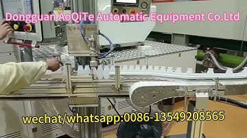 Full-automatic high speed single head leak testing machine