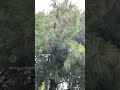 #красота_от_природы #summer #бодензее #shortsvideo #shortsyoutube #Bodensee
