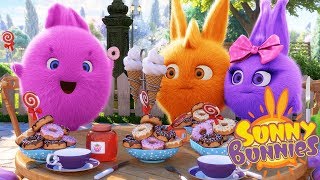 Videos For Kids | SUNNY BUNNIES SWEET FEAST | Funny Videos For Kids