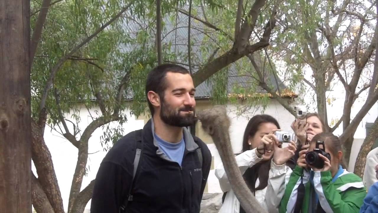 LEAD Cape Town 2013 YouTube