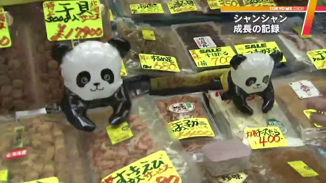 2017年のTOKYO】上野のパンダ シャンシャン成長の記録 - YouTube