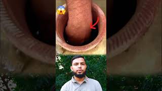 #TraditionalTips #LifeHacks2025 #NaturalCooling#SummerDIY #tipsandtricks #viralvideo #SmartHacks