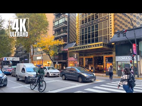 [4K] Recoleta Autumn Walking Tour 🍂 | Buenos Aires Downtown 🇦🇷
