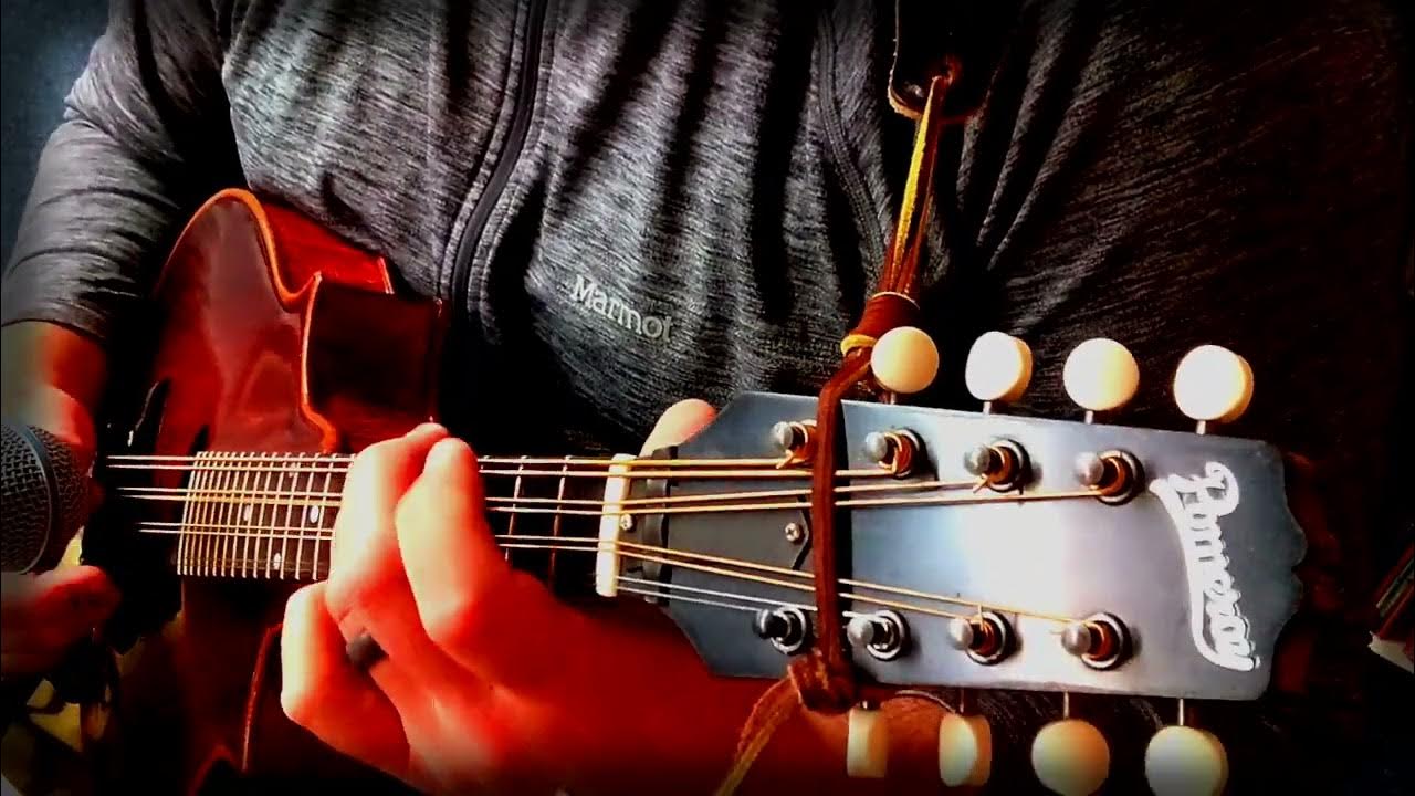 James Kerr's mandola, concertina, banjo, bodhrán jig YouTube