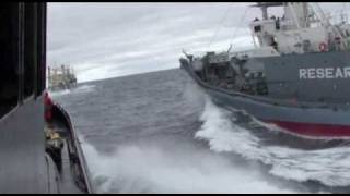 Sea Shepherd Ship Bob Barker Rammed By The Japanese Har Ship Yushin Maru 3