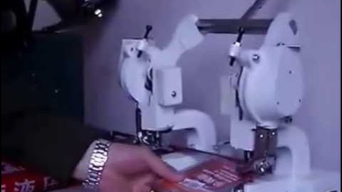 Double head eyelet machine