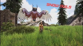 Noob Taming R-Snow Owl- Ark Fjordur (E12)