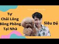 Hướng Dẫn Chải Lông Chó Tại Nhà Đơn Giản Và Hiệu Quả Nhất | Zuli Pet