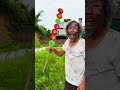 Jelly ASMR AMERICAN'S ORIGINAL DUBBLE BUBBLE GUM JELLY (3 Fruits Flavors) And.... part 2#S182