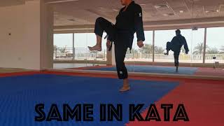 Karate Tutorial Lessen #5: How to do the Karate Kick Mae Geri