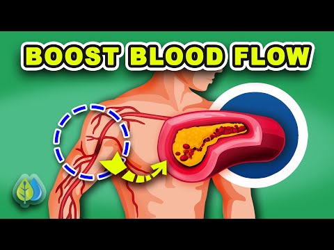 7 Vitamins to increase BLOOD FLOW and CIRCULATION | Improve Blood Flow to Legs &amp; Brain