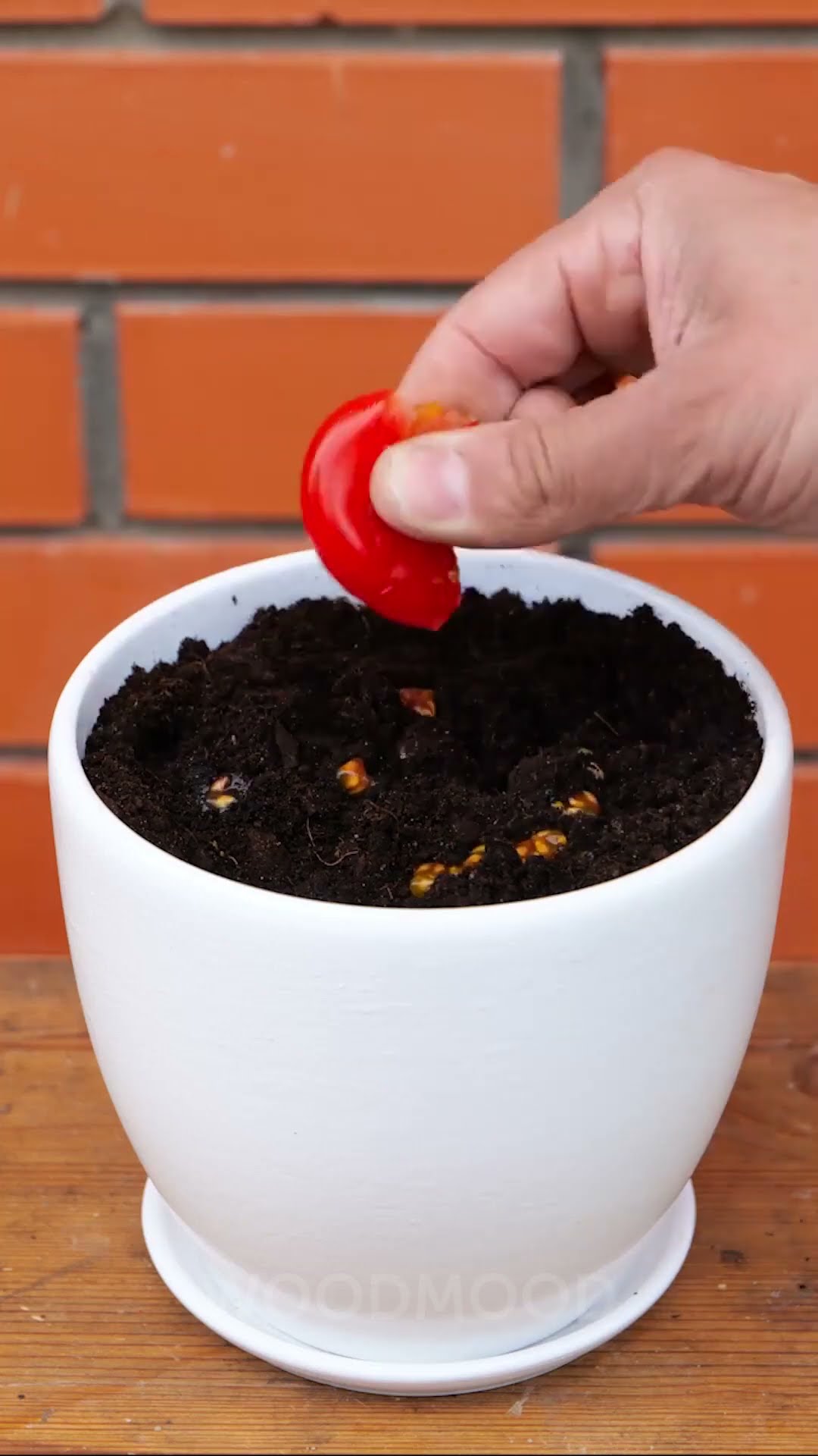 POV: Your Garden Gets an Extreme Makeover ?✨