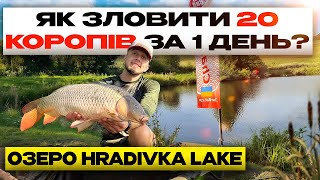 картинка: Як зловити 20 коропів за день? Озеро Hradivka Lake + РОЗІГРАШ!