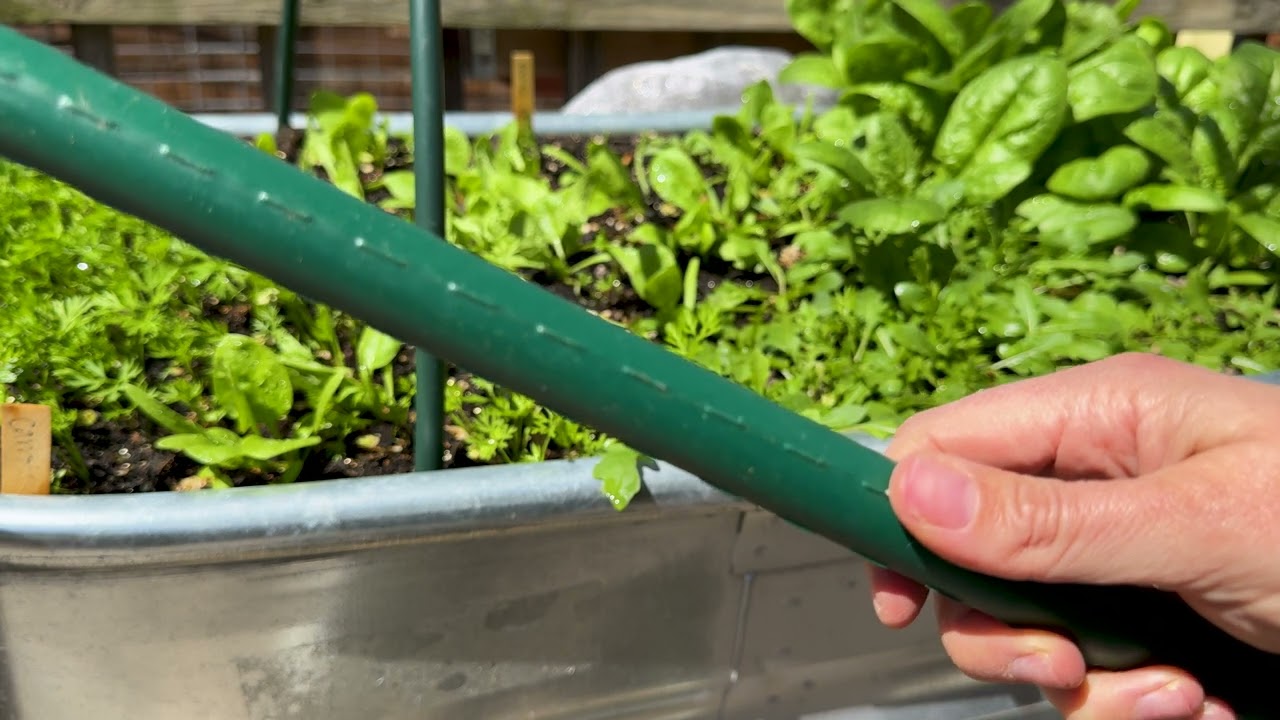 8' Garden Stakes - too much or just right?