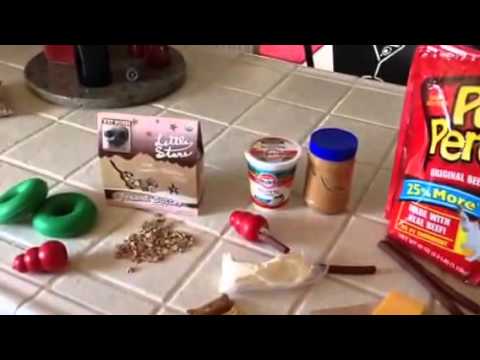 Great Ideas For Stuffing Dog Toys - YouTube