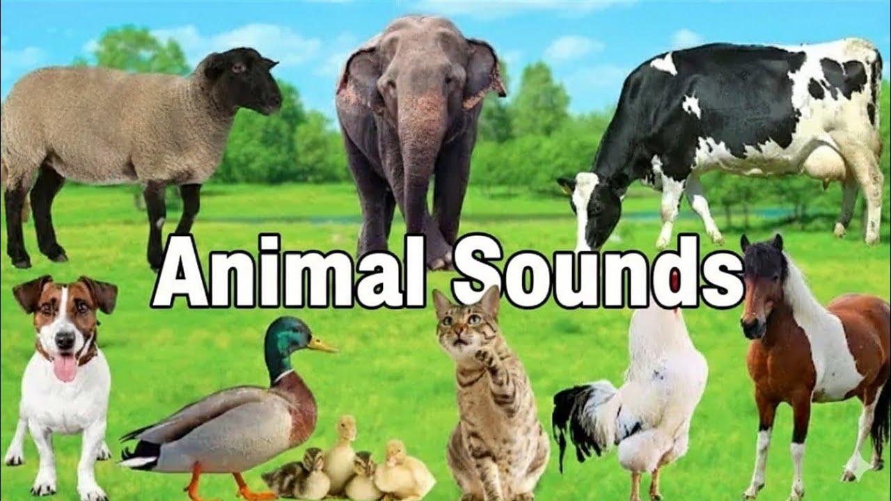 Animal Sounds for Children🐎 | 20 Amazing animal to learn🐕| Learn Domestic & Wild Animal Names&Noises