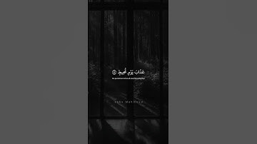 إِنِّىٓ أَرَىٰكُم بِخَيْرٍۢ وَإِنِّىٓ أَخَافُ عَلَيْكُمْ | محمد صديق المنشاوي | سورة هود