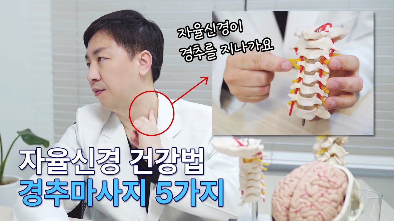 자율신경 건강법 