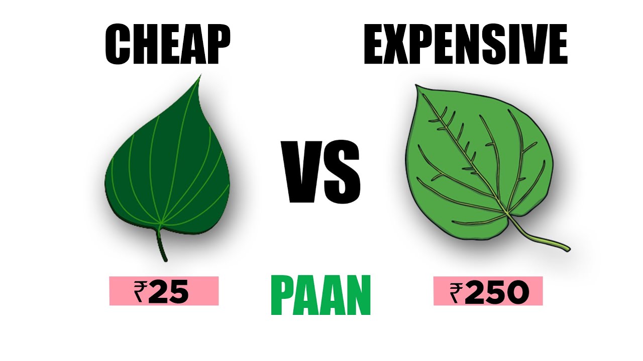 Cheap Vs Expensive Paan 😱😱 | Double Ticks
