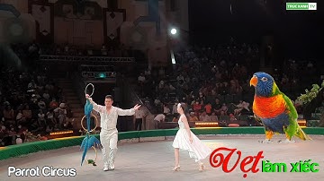 Xiếc vẹt đặc sắc. Trung thu cho bé- Parrot Circus | Trúc xanh TV