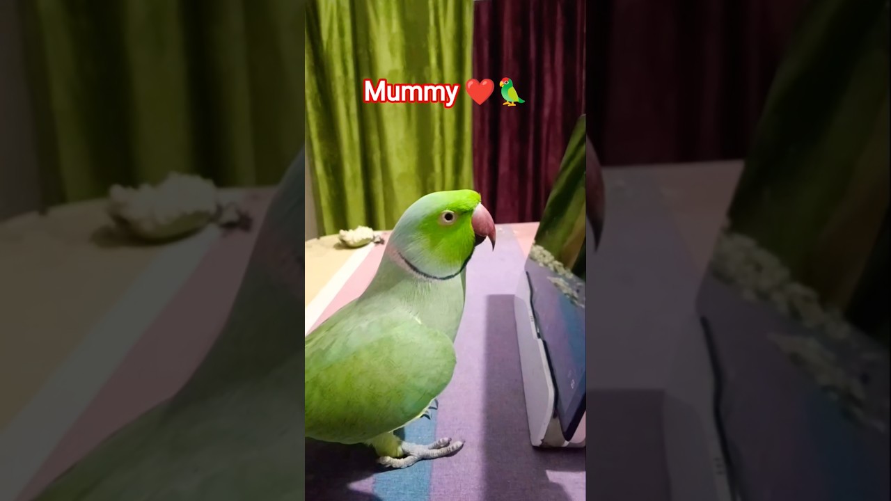 Mummy ❤️🦜🌿 