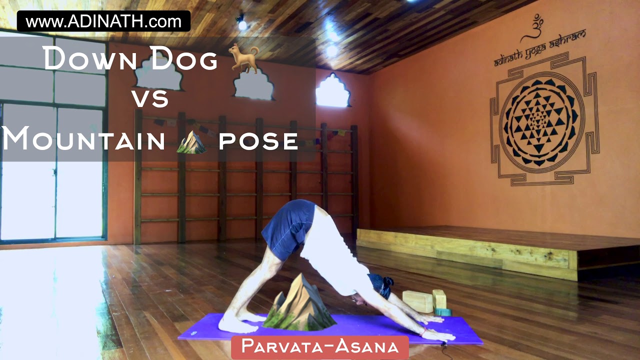 Downward Facing Dog Vs Mountain Pose Downward Facing Dog Vs Mountain Pose