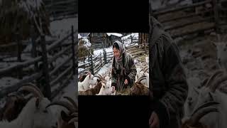 Natural Beauty and Simple Joy of Feeding Goats | Digital Art