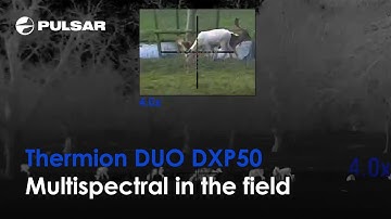 Thermion DUO DXP50 | Multispectral in the field | Thermal imaging riflescopes