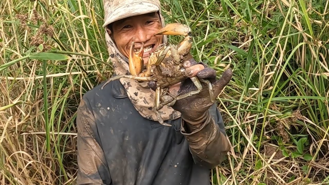 Phúc cuối toàn bắt được cua to sướng cả người 