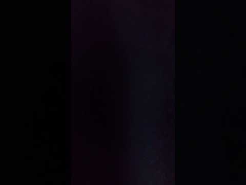 歌ってみた　SMAP　セロリ