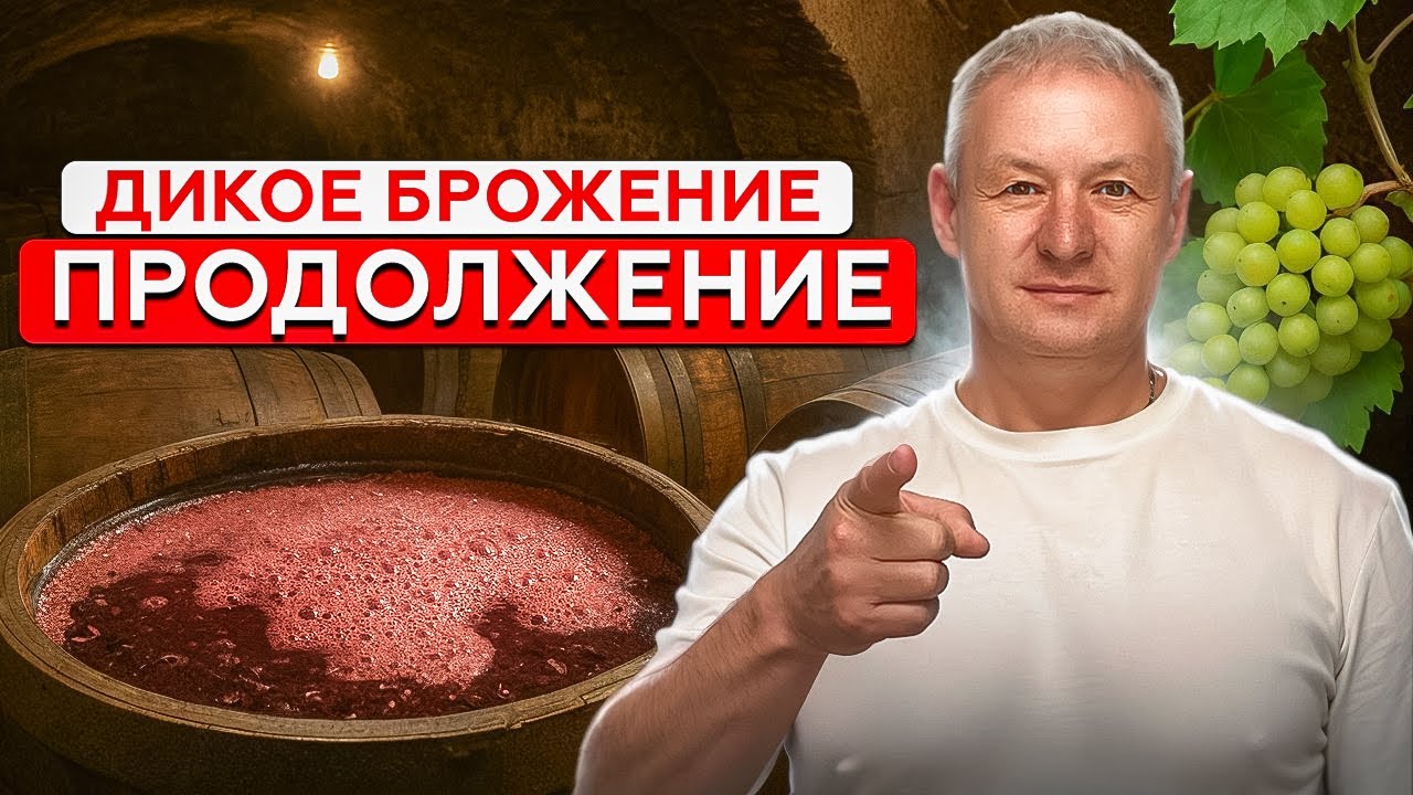 Главное правило БРОЖЕНИЯ ВИНА о котором молчат!