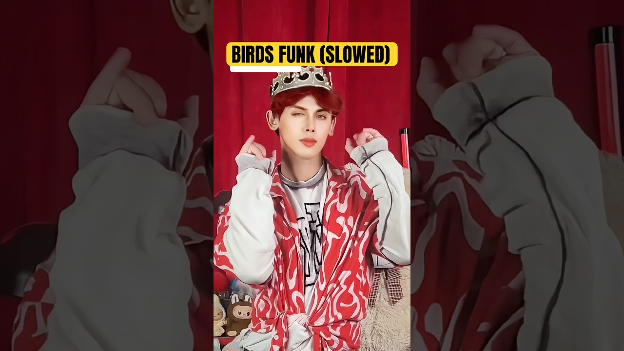 Birds Funk (Slowed) Dance Trend Tutorial